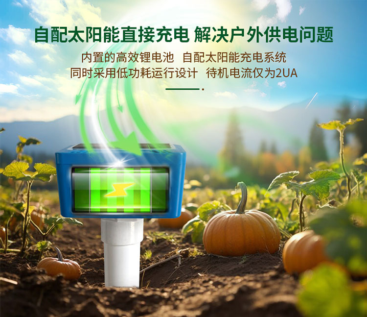 turang_4g_4.jpg turang_4g_4.jpg