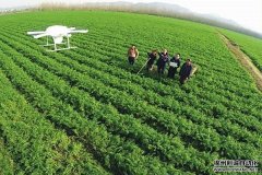 固定式農業環境監測系統要素