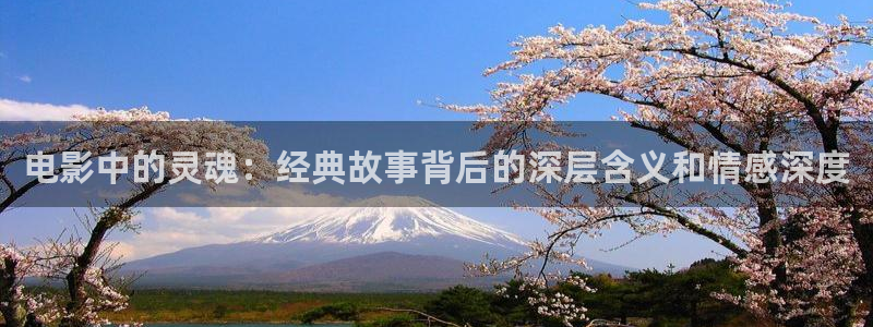 紅葉影院app：電影中的靈魂：經典故事背后的深層含義和情感深度