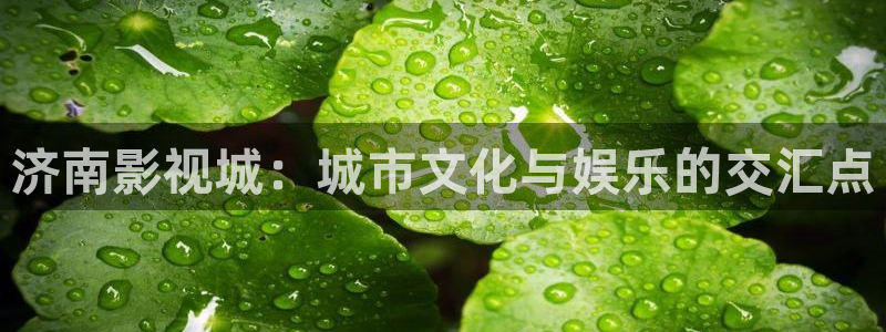 紅葉電影：濟南影視城：城市文化與娛樂的交匯點