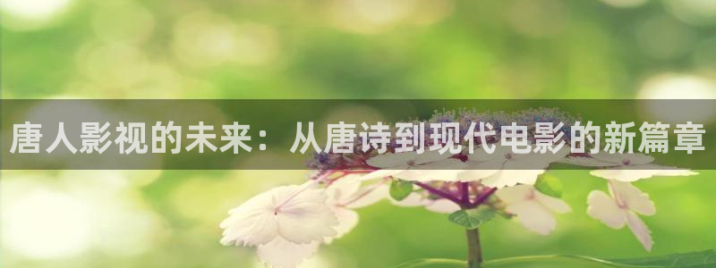 紅葉影院：唐人影視的未來：從唐詩到現代電影的新篇章