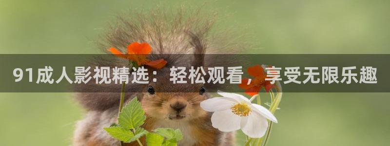 六安紅葉影城電影：91成人影視精選：輕松觀看，享受無(wú)限樂趣